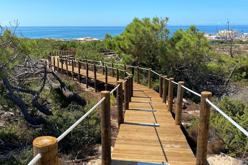 Why Is the Costa Blanca So Green Despite Little Rain?