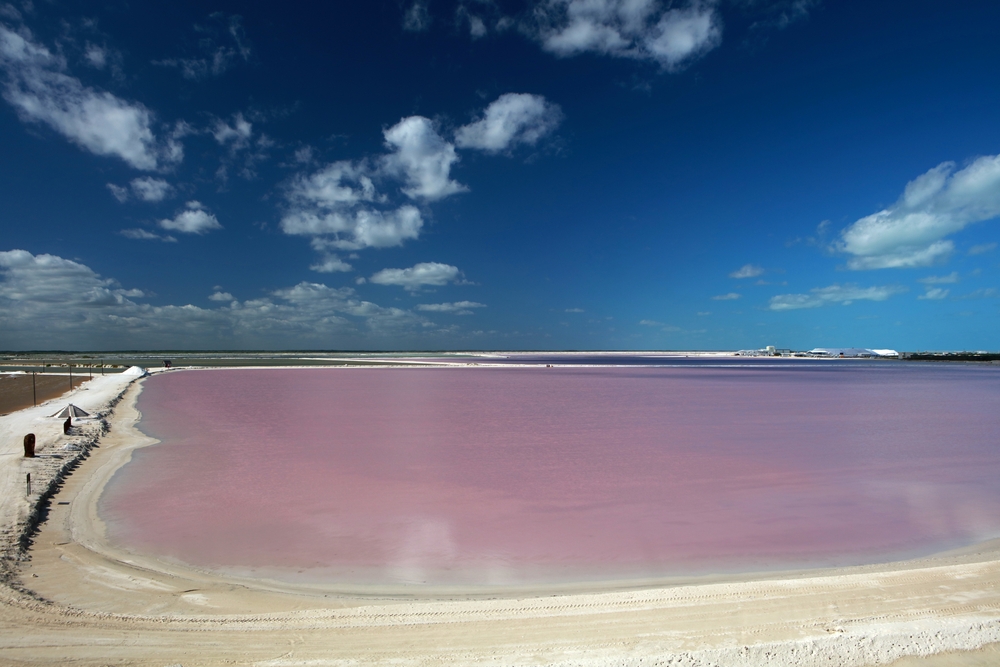 Laguna Rosa: The Enchanting Pink Salt Lake of Torrevieja