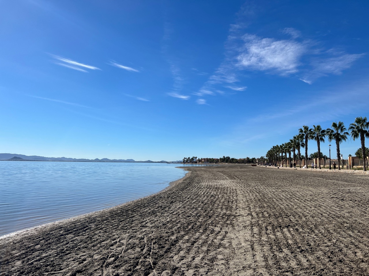 Best Time to Sell Your House in Los Alcázares