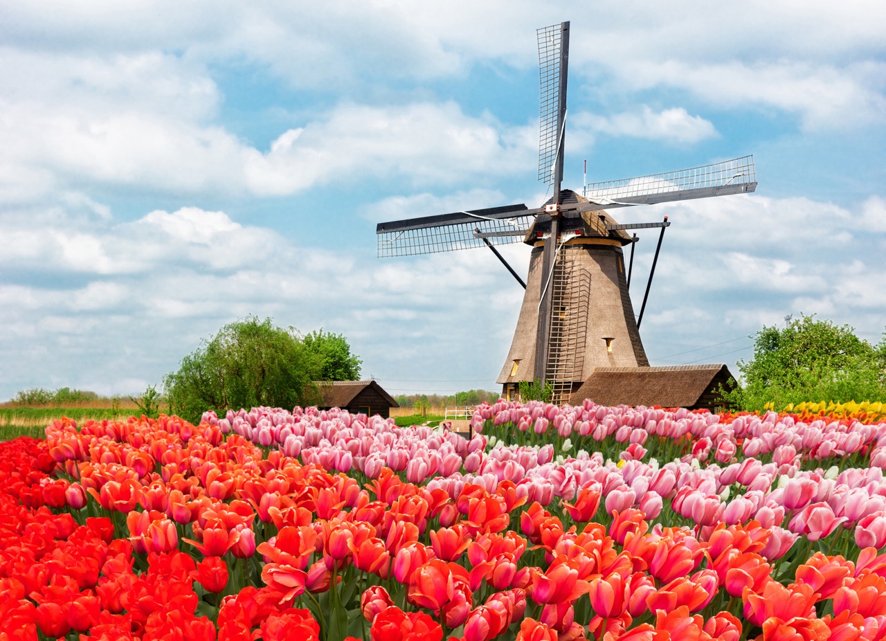 Nederlandse gemeenschap aan de Costa Blanca (2025)