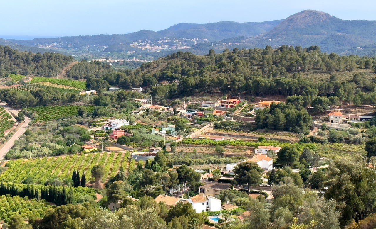 Find the Best Real Estate Agent in La Torre | 2025 Guide