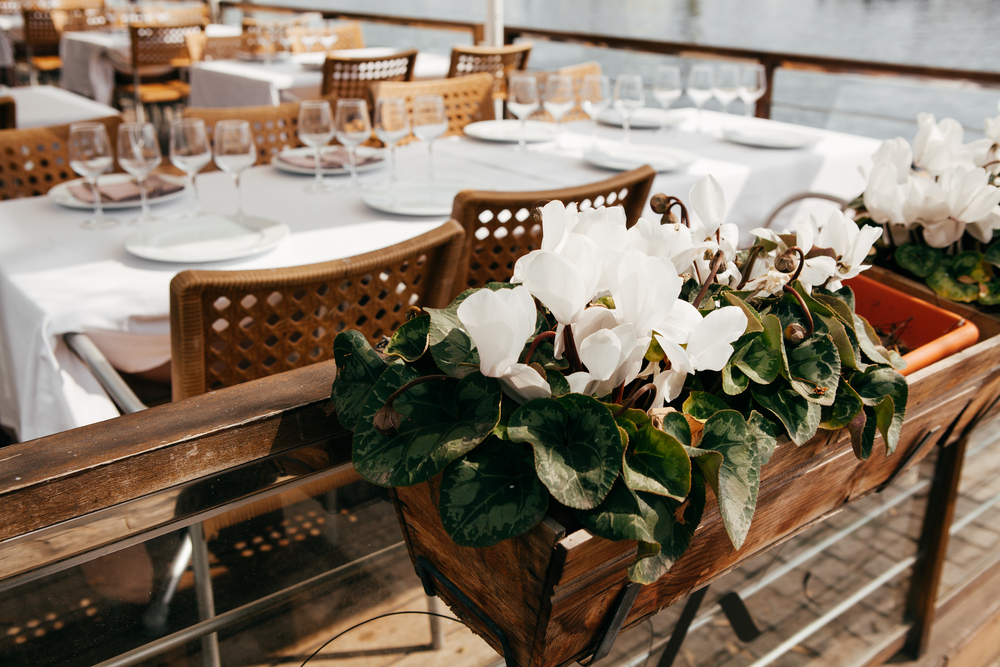 Dutch Restaurants in Costa Blanca: Taste of Home Abroad