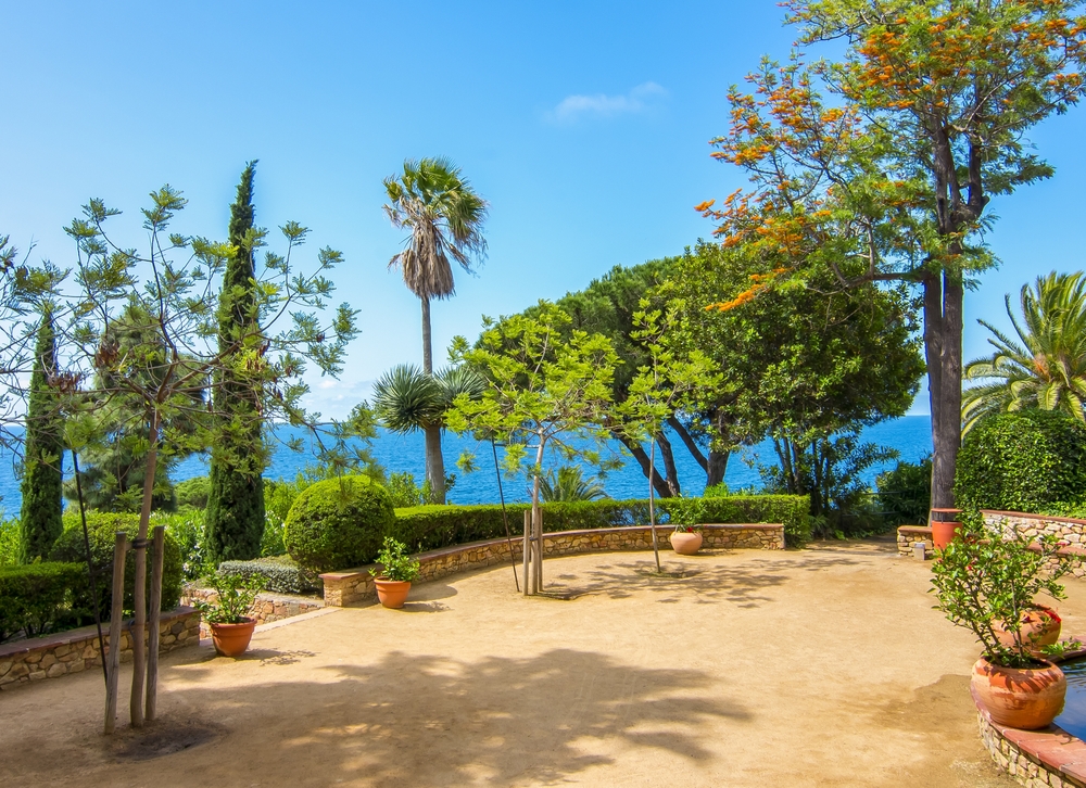 Best Garden Plants for Spanish Climates: Top Picks