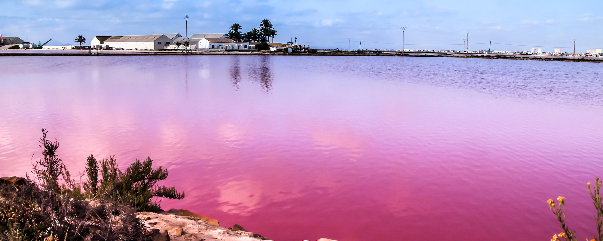 EVERYTHING YOU NEED TO KNOW ABOUT SAN PEDRO DEL PINATAR