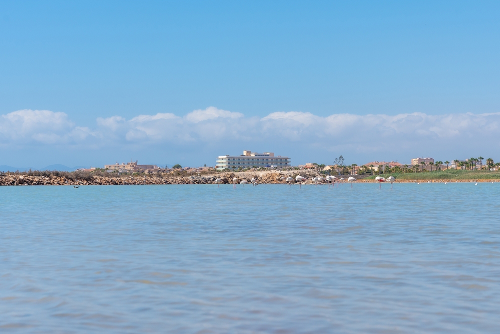 Lo Pagán Property Costs: What Do You Get for Your Money?