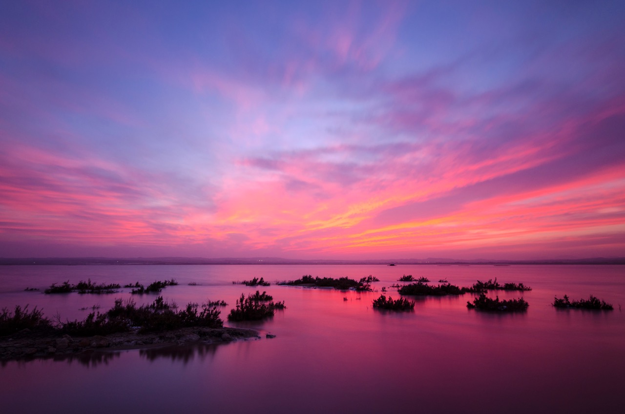 Best Real Estate Agent in San Miguel de Salinas: 2025 Guide