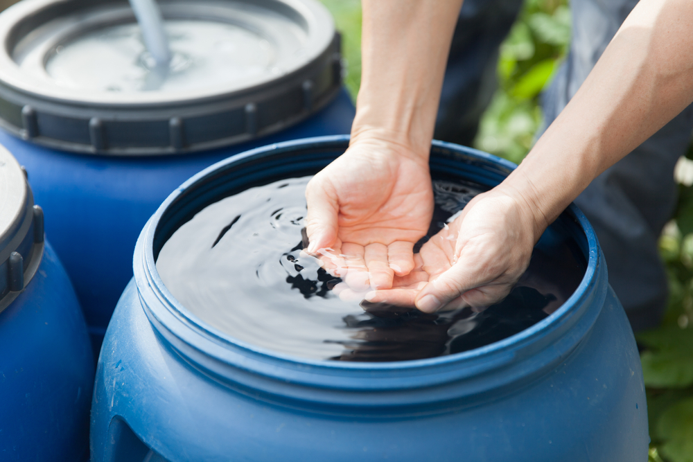 Rain Barrels & Water Collection in Spain: Smart Solution?