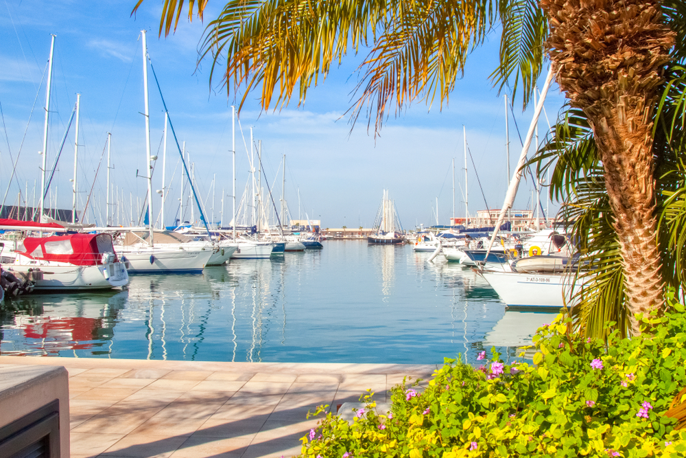 Koszty IMMO ABROAD Santa Pola – co otrzymujesz za pieniądze?