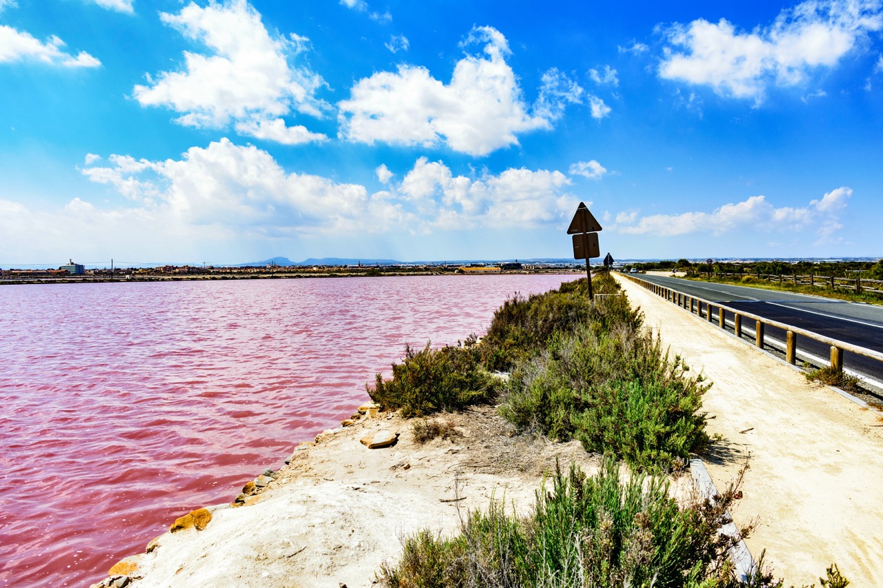 Najlepszy czas na sprzedaż domu w Lo Pagán - Poradnik