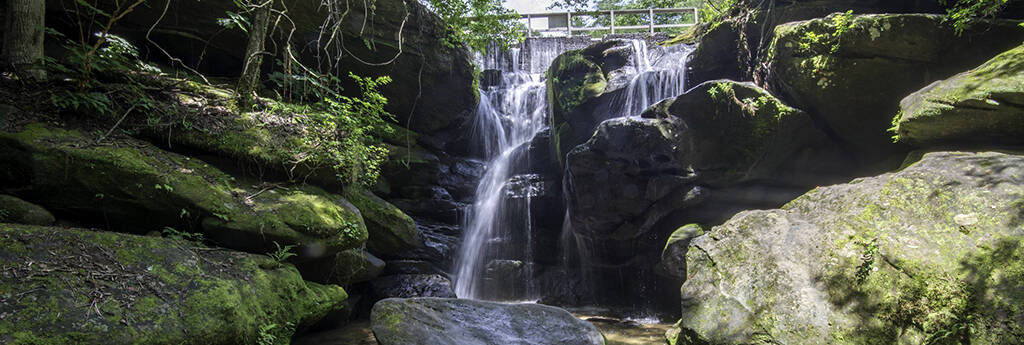 ALLES WAS SIE ÜBER ALABAMA ZU WISSEN