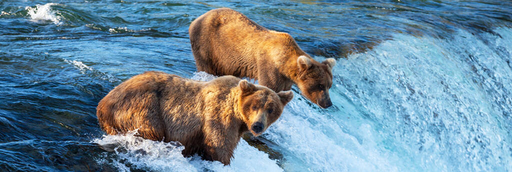 ALLES WAT U MOET WETEN OVER ALASKA