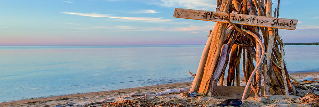 TODO LO QUE NECESITA SABER ACERCA DE MICHIGAN