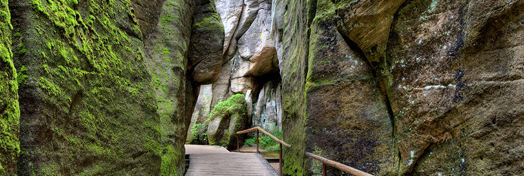 Wszystko, co musisz WIEDZIEĆ O CZECHACH