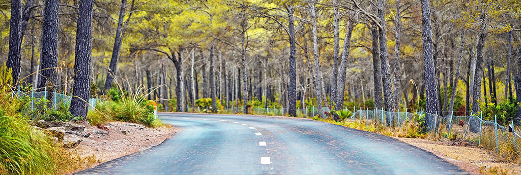 ALLES WAT U moet weten over Glendale