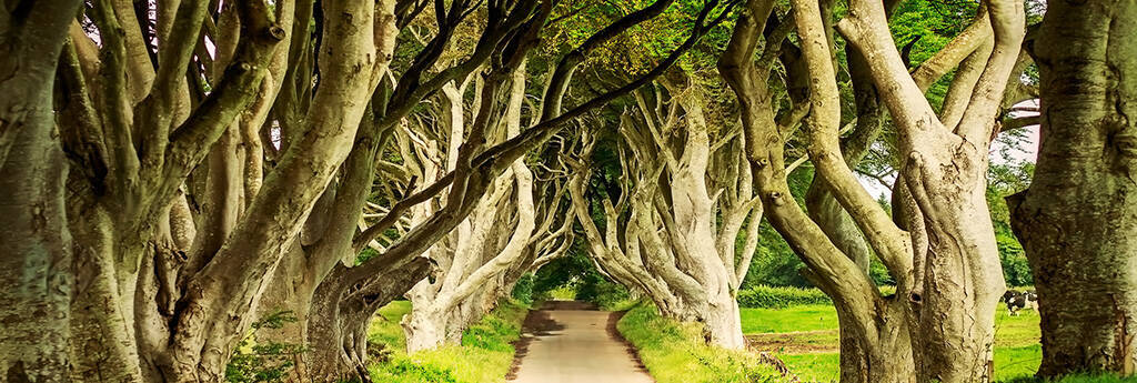 ALLES WAT U MOET WETEN OVER IERLAND