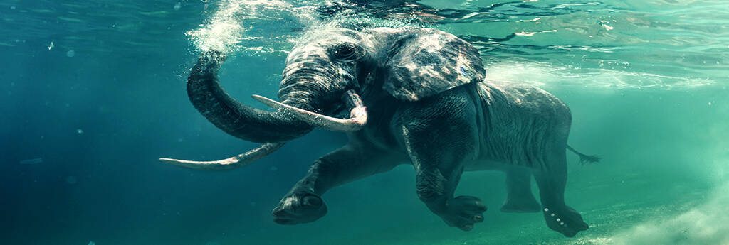 Wszystko, co musisz WIEDZIEĆ O MADAGASKARZE