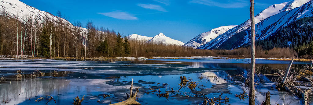 TODO LO QUE NECESITA SABER SOBRE Anchorage Alaska