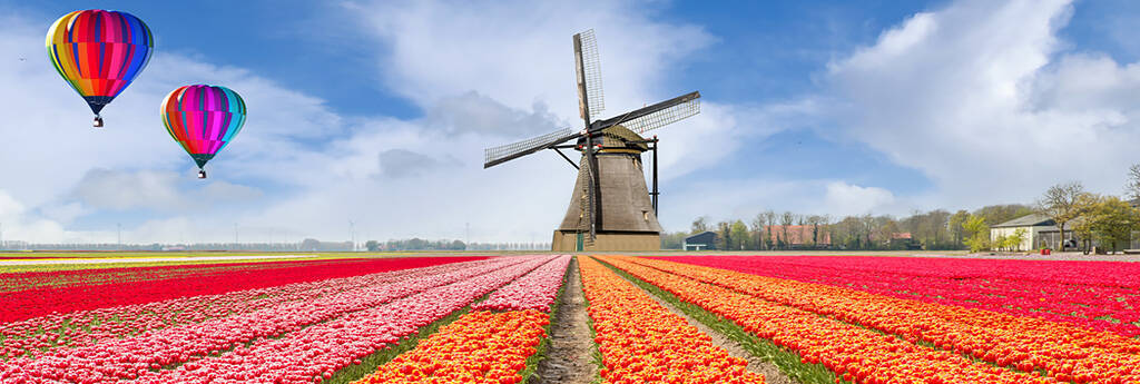 Wszystko, co musisz WIEDZIEĆ O HOLANDII