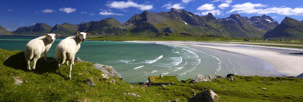 ALLES WAT U MOET WETEN OVER NOORWEGEN