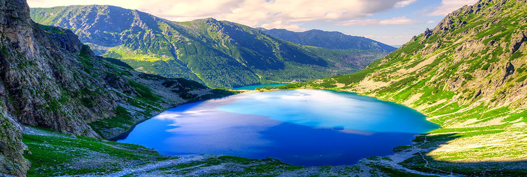 ALLES WAT U MOET WETEN OVER POLEN