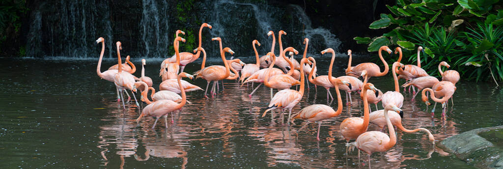 Wszystko, co musisz WIEDZIEĆ O SINGAPUR