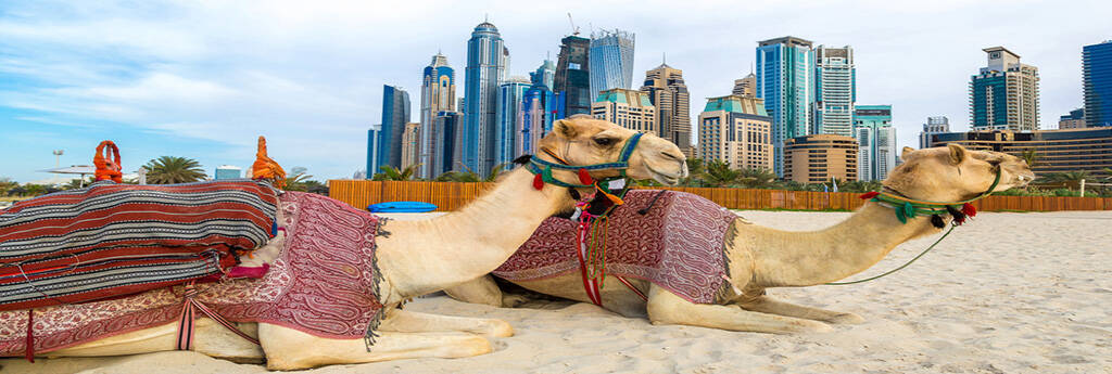 ALLES WAT U MOET WETEN OVER VERENIGDE ARABISCHE EMIRATEN