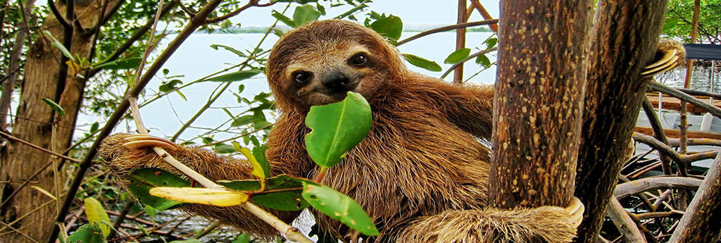 ALLES WAT U moet weten over COSTA RICA