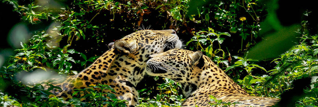 Wszystko, co musisz WIEDZIEĆ O BELIZE