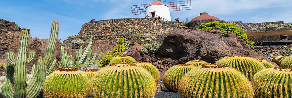EVERYTHING YOU NEED TO KNOW ABOUT LANZAROTE