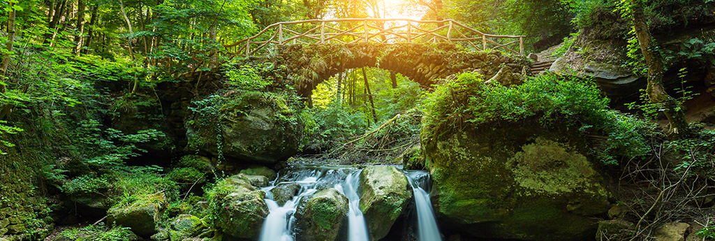 ALLES WAT U moet weten over Müllertal MOSELLE LUXEMBOURG