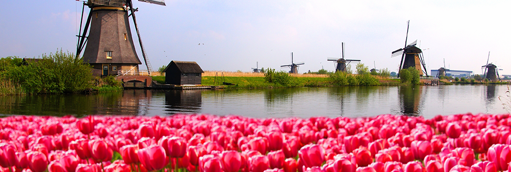 ALLES WAT U moet weten over NOORD HOLLAND