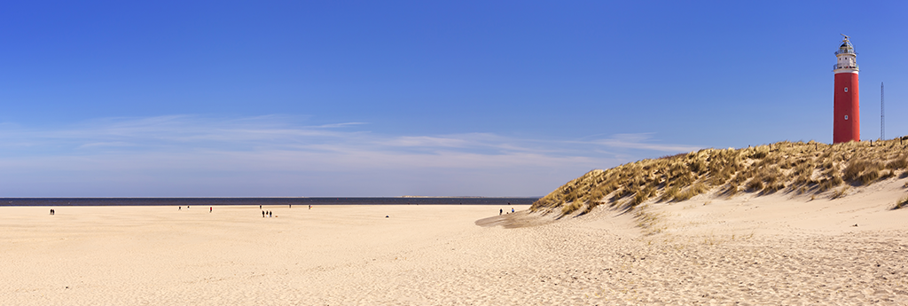 EVERYTHING YOU NEED TO KNOW ABOUT TEXEL