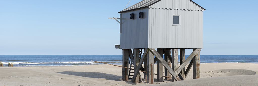 EVERYTHING YOU NEED TO KNOW ABOUT TERSCHELLING