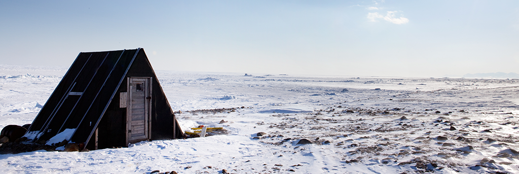 TODO LO QUE NECESITA SABER SOBRE ESTE NORUEGA