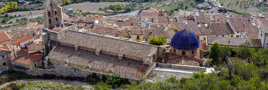 TOUT CE QUE VOUS DEVEZ SAVOIR SUR MORELLA