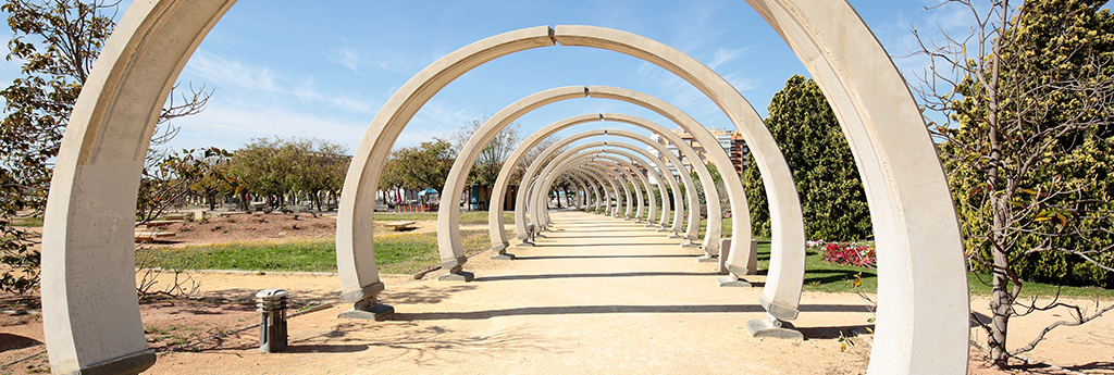 Everything YOU NEED TO KNOW ABOUT SAN VICENTE