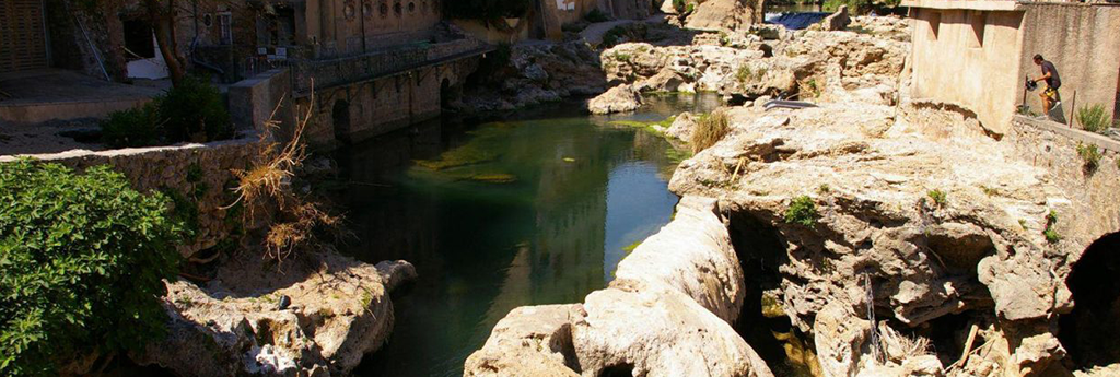 TOUT CE QUE VOUS DEVEZ SAVOIR SUR TRANS EN PROVENCE