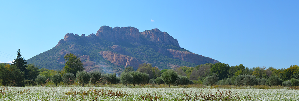 TODO LO QUE NECESITA SABER SOBRE Roquebrune-sur-Argens