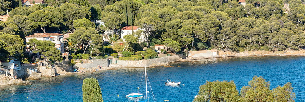 TOUT CE QUE VOUS DEVEZ SAVOIR SUR Rayol-Canadel-sur-Mer