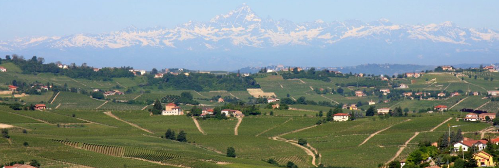 TOUT CE QUE VOUS DEVEZ SAVOIR SUR MONTFERRAT
