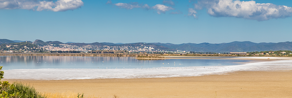 Alles was Sie über LES-Salins-D'HYERES WISSEN