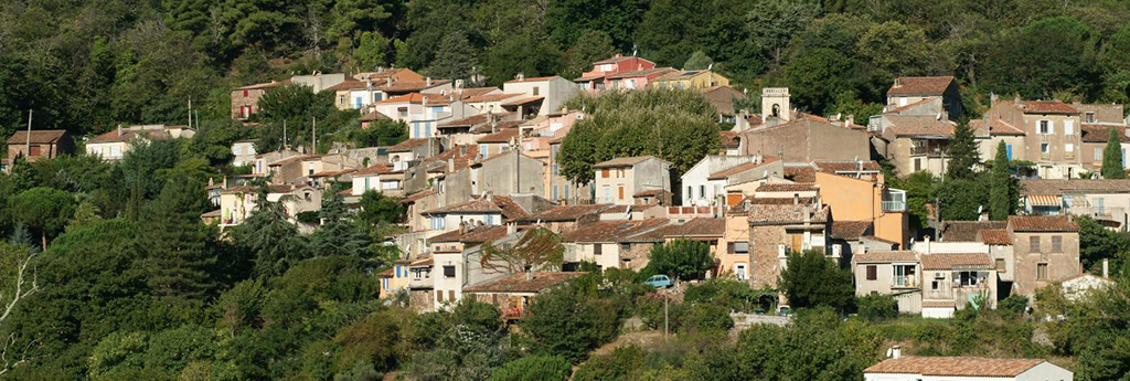TOUT CE QUE VOUS DEVEZ SAVOIR SUR LES MAYONS