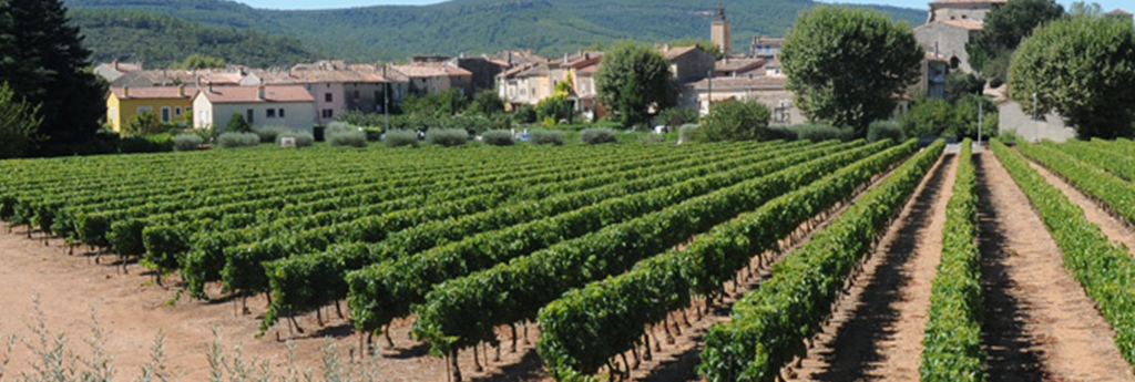 EVERYTHING YOU NEED TO KNOW ABOUT BESSE SUR ISSOLE