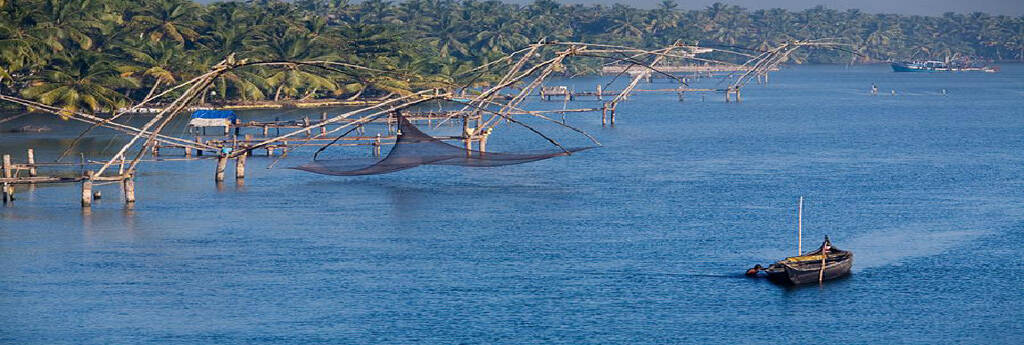 EVERYTHING YOU NEED TO KNOW ABOUT COCHIN