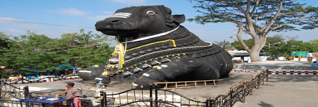 EVERYTHING YOU NEED TO KNOW ABOUT MYSORE