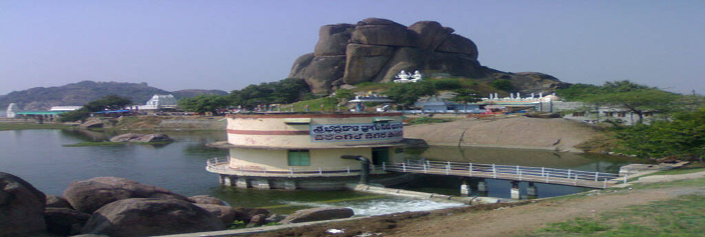 EVERYTHING YOU NEED TO KNOW ABOUT WARANGAL