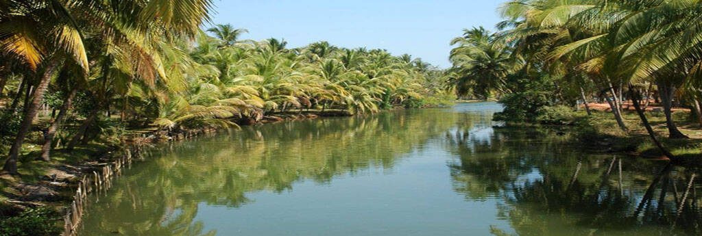 TODO LO QUE NECESITA SABER SOBRE KOLLAM