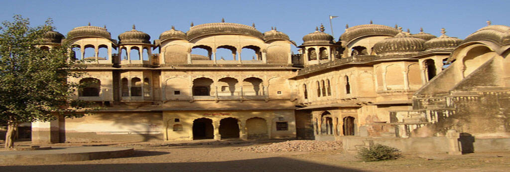 EVERYTHING YOU NEED TO KNOW ABOUT SIKAR
