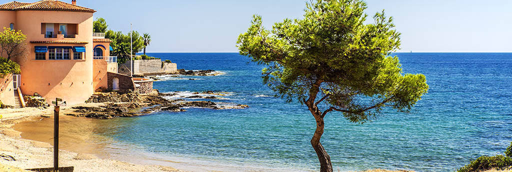 TOUT CE QUE VOUS DEVEZ SAVOIR SUR LES ISSAMBRES