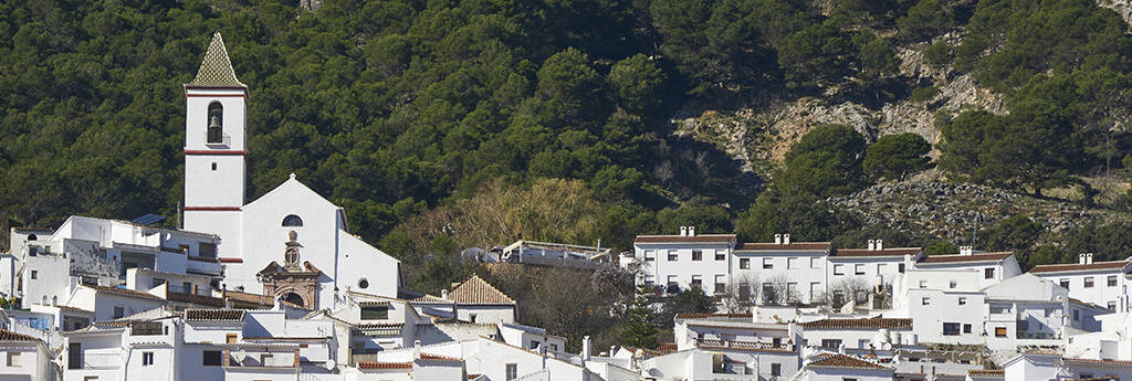 EVERYTHING YOU NEED TO KNOW ABOUT CASARABONELA